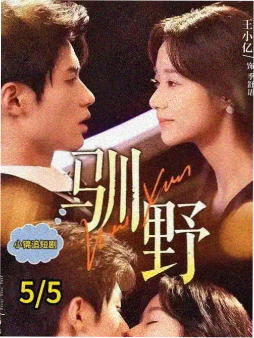 葬送的芙莉莲 免费观看电视剧
